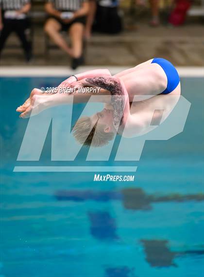 Thumbnail 2 in CHSAA 5A Dive Finals photogallery.