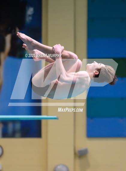 Thumbnail 1 in CHSAA 5A Dive Finals photogallery.