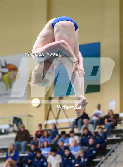 Thumbnail 1 in CHSAA 5A Dive Finals photogallery.