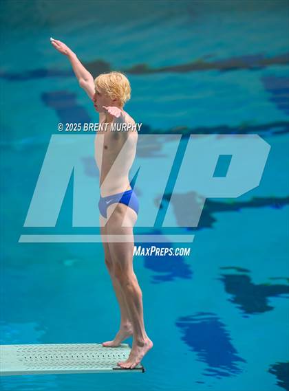 Thumbnail 3 in CHSAA 5A Dive Finals photogallery.