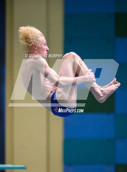 Thumbnail 3 in CHSAA 5A Dive Finals photogallery.