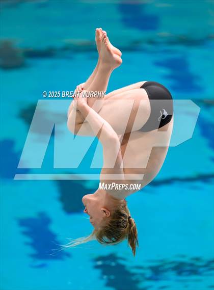 Thumbnail 3 in CHSAA 5A Dive Finals photogallery.