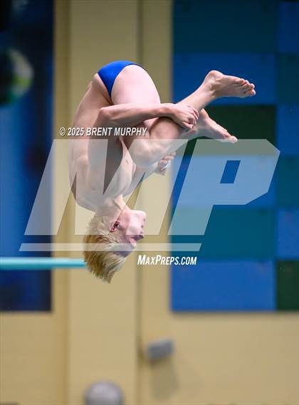 Thumbnail 3 in CHSAA 5A Dive Finals photogallery.