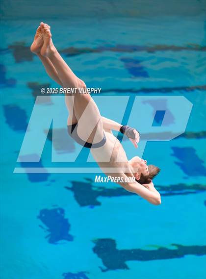 Thumbnail 2 in CHSAA 5A Dive Finals photogallery.