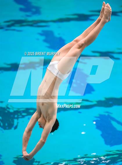 Thumbnail 1 in CHSAA 5A Dive Finals photogallery.