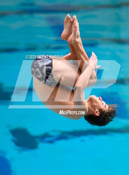 Thumbnail 1 in CHSAA 5A Dive Finals photogallery.