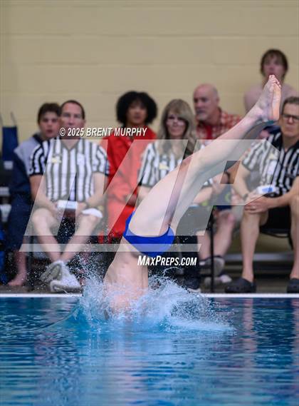 Thumbnail 2 in CHSAA 5A Dive Finals photogallery.