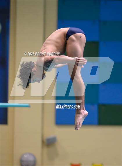 Thumbnail 1 in CHSAA 5A Dive Finals photogallery.