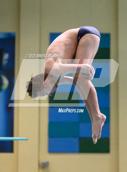 Thumbnail 1 in CHSAA 5A Dive Finals photogallery.