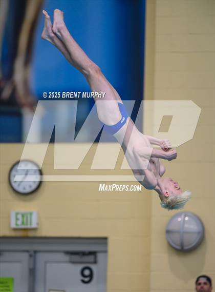 Thumbnail 2 in CHSAA 5A Dive Finals photogallery.
