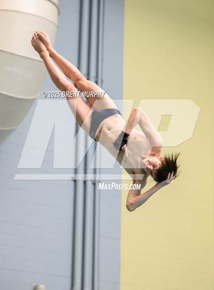 Thumbnail 2 in CHSAA 5A Dive Finals photogallery.