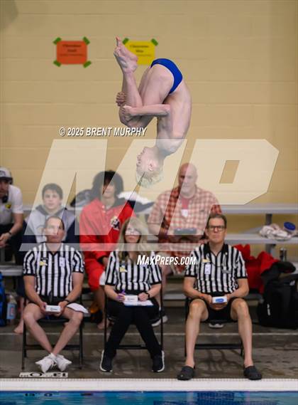 Thumbnail 2 in CHSAA 5A Dive Finals photogallery.