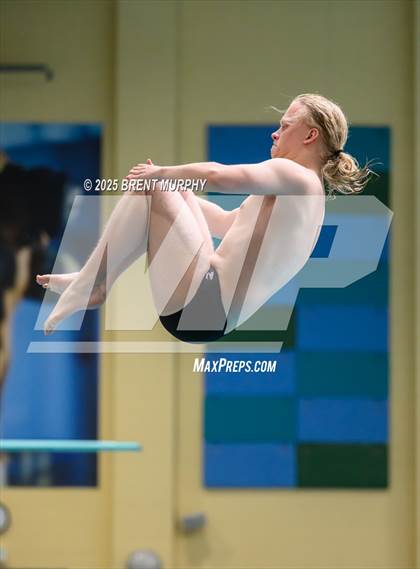 Thumbnail 3 in CHSAA 5A Dive Finals photogallery.
