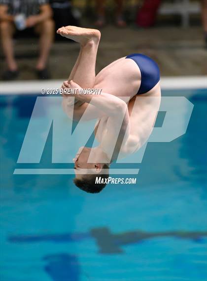Thumbnail 1 in CHSAA 5A Dive Finals photogallery.