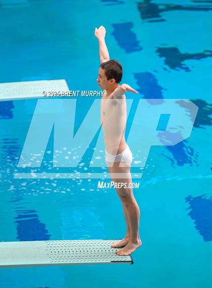 Thumbnail 1 in CHSAA 5A Dive Finals photogallery.