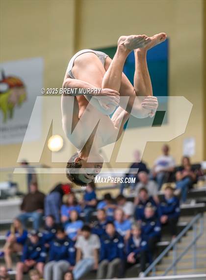Thumbnail 1 in CHSAA 5A Dive Finals photogallery.