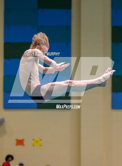 Thumbnail 2 in CHSAA 5A Dive Finals photogallery.