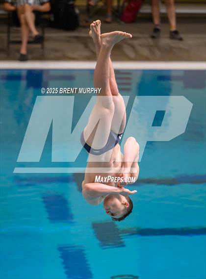 Thumbnail 1 in CHSAA 5A Dive Finals photogallery.