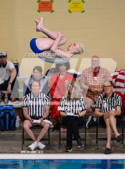 Thumbnail 1 in CHSAA 5A Dive Finals photogallery.