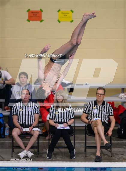 Thumbnail 1 in CHSAA 5A Dive Finals photogallery.