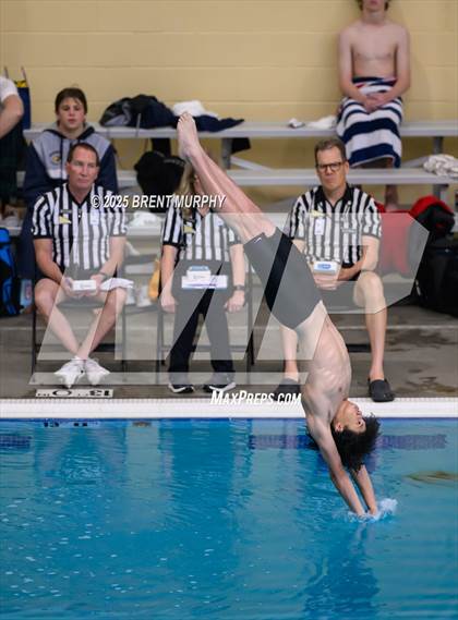 Thumbnail 3 in CHSAA 5A Dive Finals photogallery.