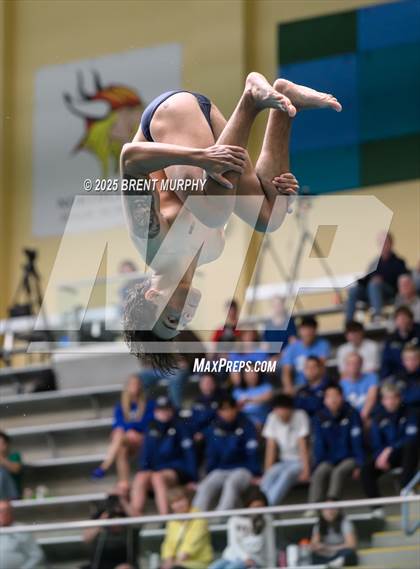 Thumbnail 2 in CHSAA 5A Dive Finals photogallery.