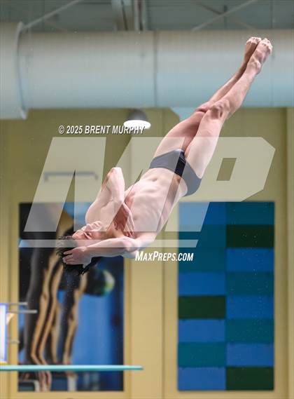 Thumbnail 1 in CHSAA 5A Dive Finals photogallery.