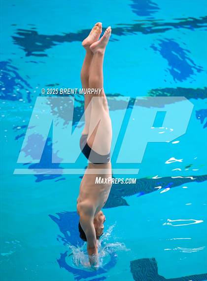 Thumbnail 3 in CHSAA 5A Dive Finals photogallery.