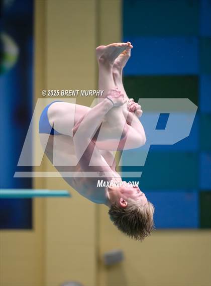Thumbnail 2 in CHSAA 5A Dive Finals photogallery.