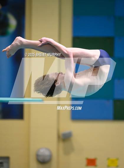 Thumbnail 2 in CHSAA 5A Dive Finals photogallery.