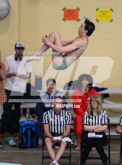 Thumbnail 2 in CHSAA 5A Dive Finals photogallery.