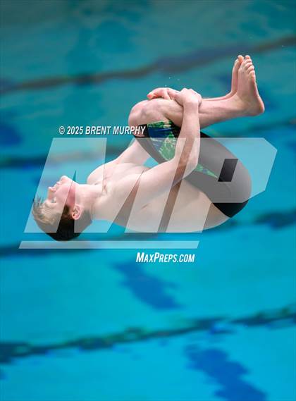 Thumbnail 1 in CHSAA 5A Dive Finals photogallery.