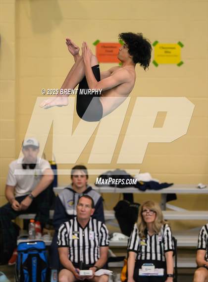 Thumbnail 2 in CHSAA 5A Dive Finals photogallery.
