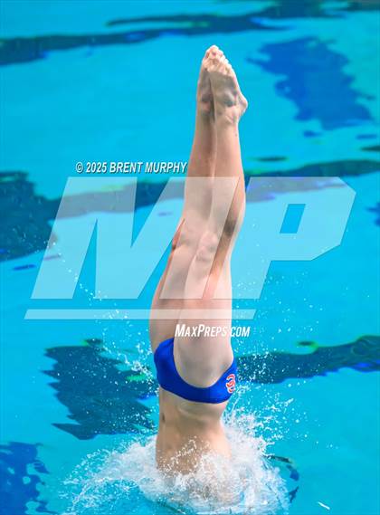 Thumbnail 3 in CHSAA 5A Dive Finals photogallery.
