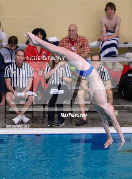 Thumbnail 2 in CHSAA 5A Dive Finals photogallery.