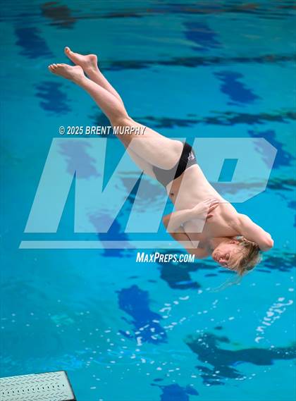 Thumbnail 3 in CHSAA 5A Dive Finals photogallery.