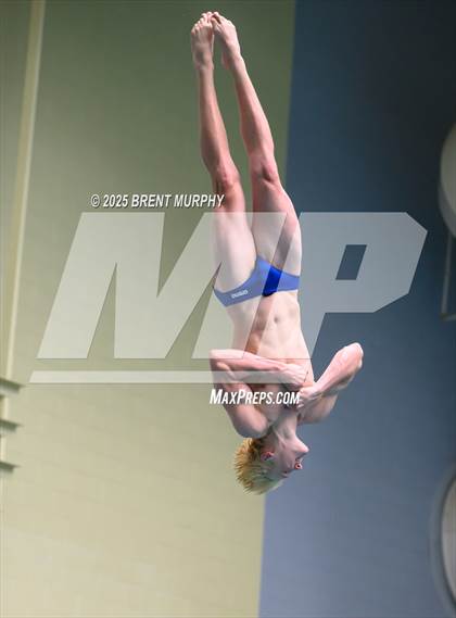 Thumbnail 3 in CHSAA 5A Dive Finals photogallery.