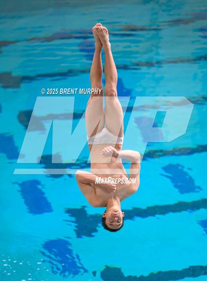 Thumbnail 2 in CHSAA 5A Dive Finals photogallery.