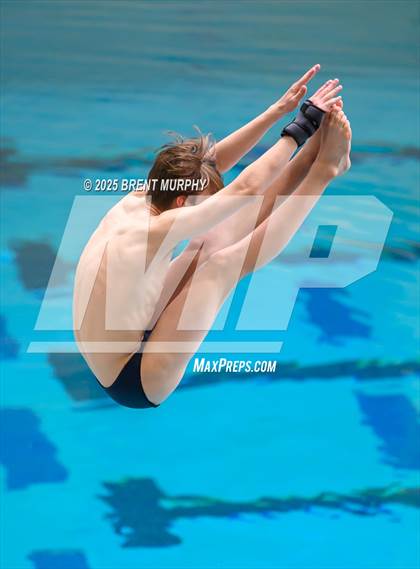 Thumbnail 1 in CHSAA 5A Dive Finals photogallery.