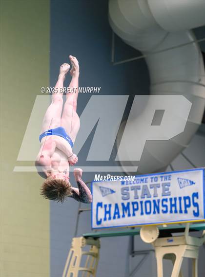 Thumbnail 3 in CHSAA 5A Dive Finals photogallery.
