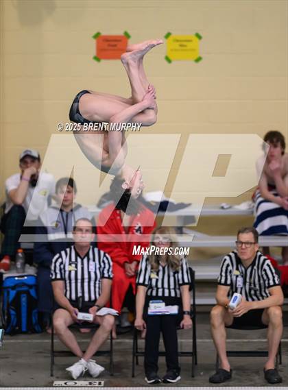 Thumbnail 3 in CHSAA 5A Dive Finals photogallery.