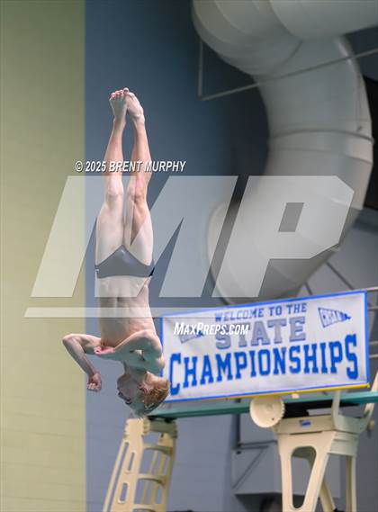 Thumbnail 3 in CHSAA 5A Dive Finals photogallery.
