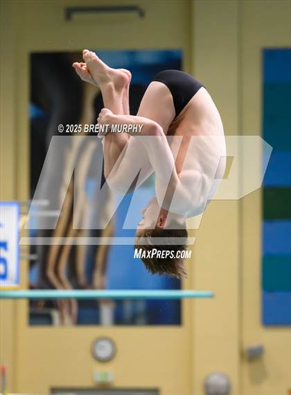 Thumbnail 3 in CHSAA 5A Dive Finals photogallery.