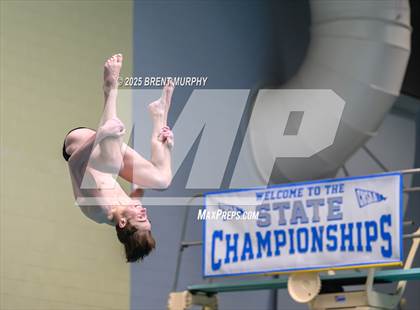 Thumbnail 1 in CHSAA 5A Dive Finals photogallery.