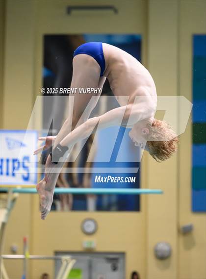 Thumbnail 1 in CHSAA 5A Dive Finals photogallery.