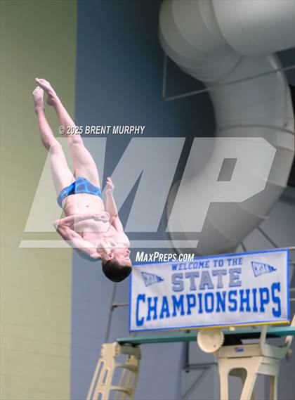 Thumbnail 1 in CHSAA 5A Dive Finals photogallery.