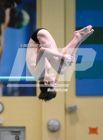 Thumbnail 1 in CHSAA 5A Dive Finals photogallery.