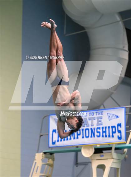 Thumbnail 1 in CHSAA 5A Dive Finals photogallery.