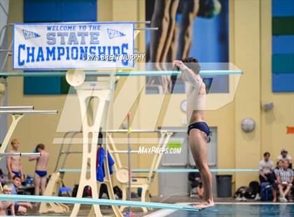 Thumbnail 2 in CHSAA 5A Dive Finals photogallery.
