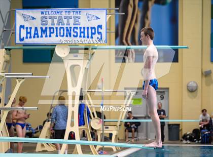 Thumbnail 3 in CHSAA 5A Dive Finals photogallery.